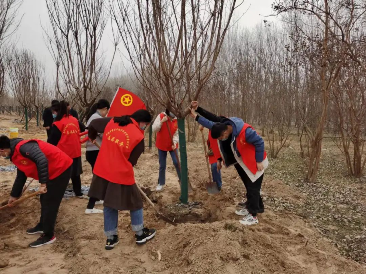 1648020050912834.png image.png